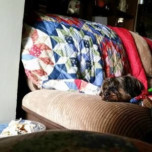 Meet your Posher, Justin